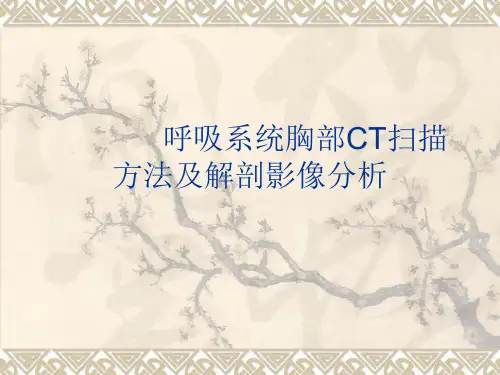 呼吸系统胸部CT扫描方法及解剖影像分析