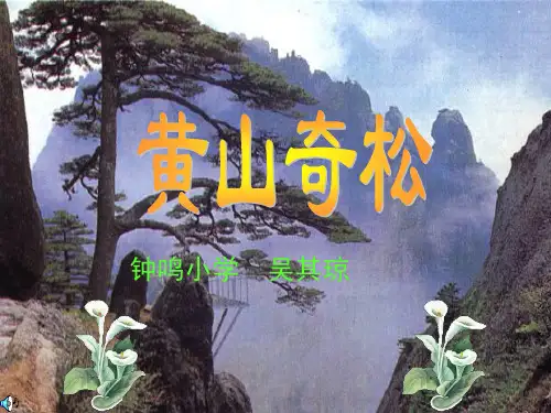 第一课时黄山奇松课件