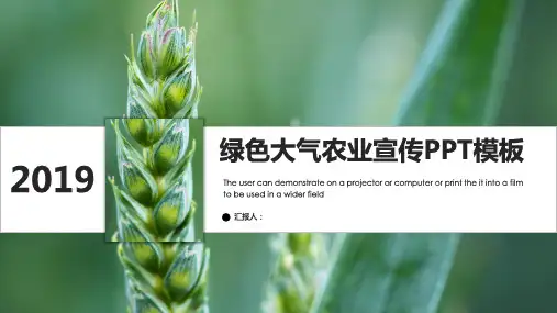 现代农业生产经营PPT