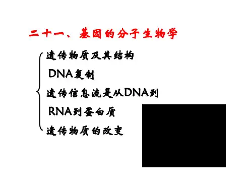 暨大普通生物学-21基因的分子生物学
