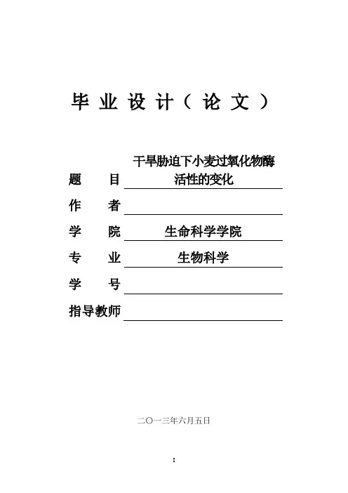 小麦过氧化物酶活性的测定