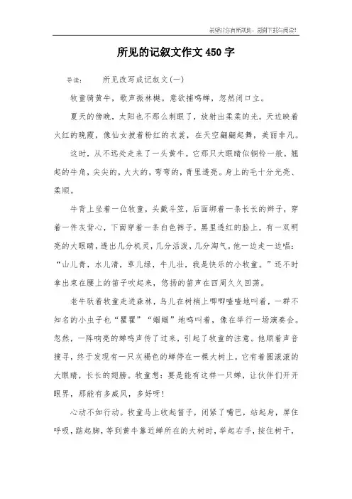 所见的记叙文作文450字