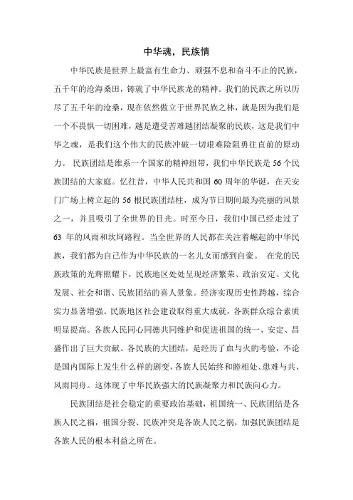 中华魂,民族情