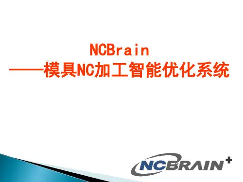 NCBrain-塑胶模