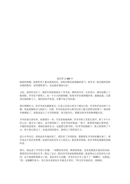 留住优秀作文800字