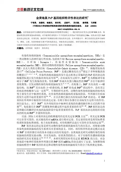 金黄地鼠PrP基因组织特异性表达的研究
