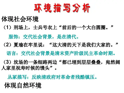 药人物形象分析