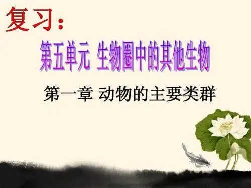 第14讲动物的主要类群