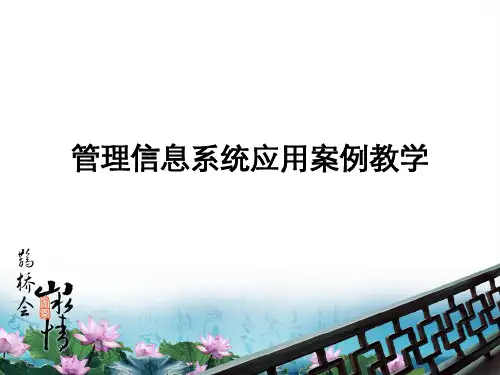 管理信息系统应用案例ppt课件