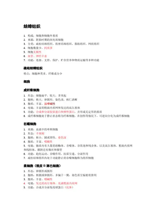 组织学与胚胎学结缔组织