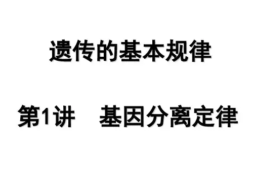 遗传的基本规律基因分离定律