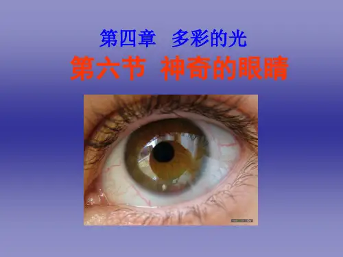 4.6神奇的眼睛ppt flash课件讲解