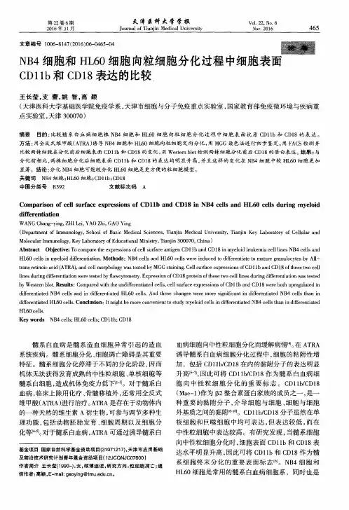 NB4细胞和HL60细胞向粒细胞分化过程中细胞表面CD11b和CD18表达的比较