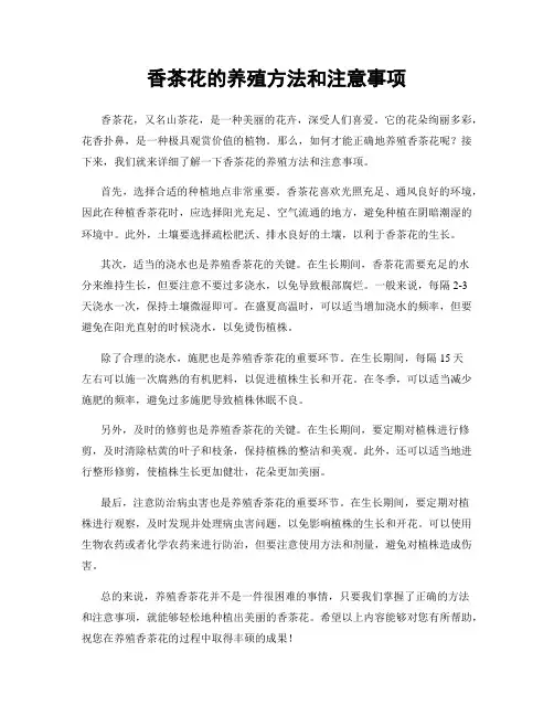 香茶花的养殖方法和注意事项 2