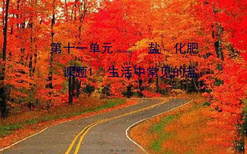 九年级化学下册第十一单元盐化肥11.1生活中常见的盐教学