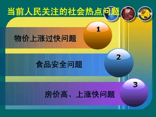 人民关注的社会热点问题共65页