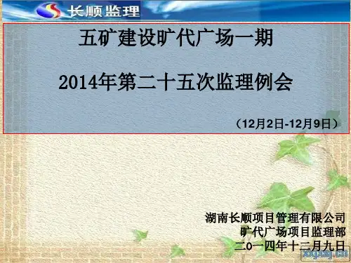 监理例会范本PPT课件