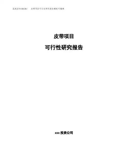 皮带项目可行性研究报告模板可编辑