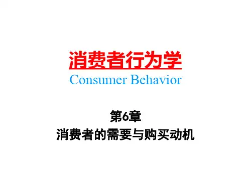 中南大学《消费行为学》第6章 消费者的需要与购买动机