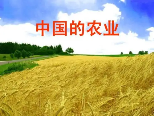 农业一轮复习