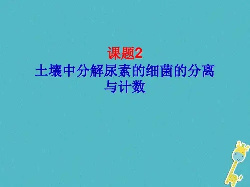 (公开课)分解尿素的细菌、分解纤维素的微生物的分离..