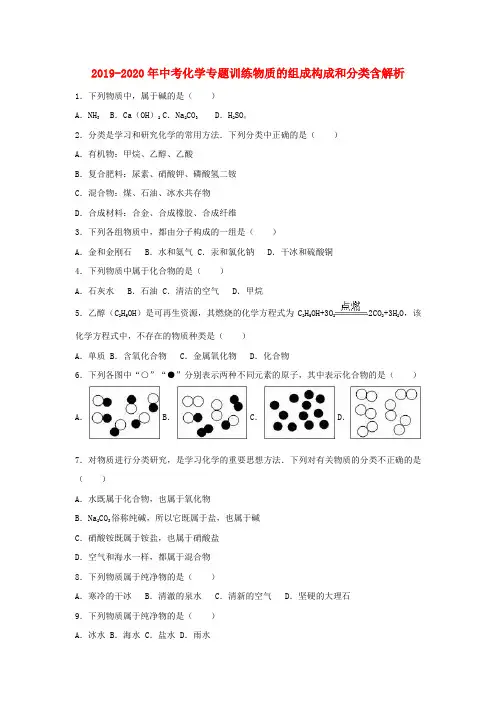 2019-2020年中考化学专题训练物质的组成构成和分类含解析