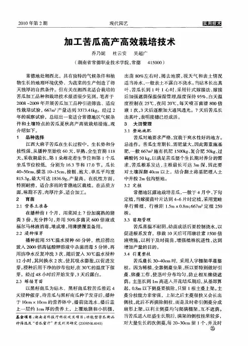 加工苦瓜高产高效栽培技术