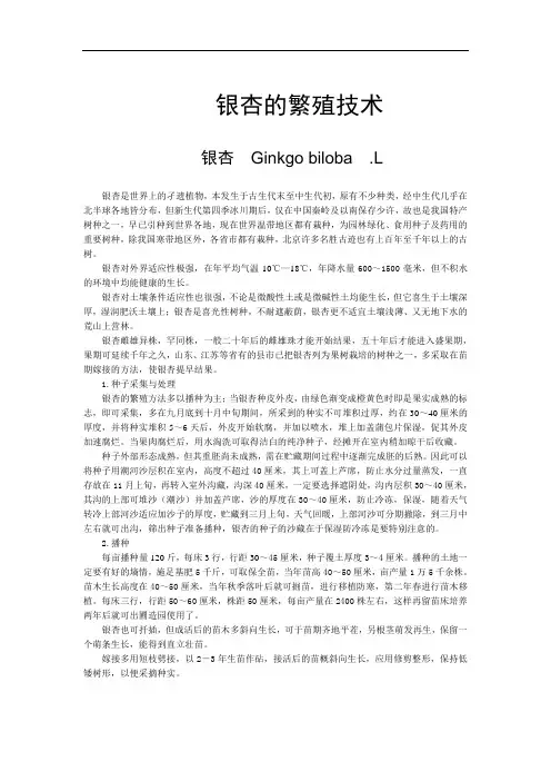 银杏的繁殖技术
