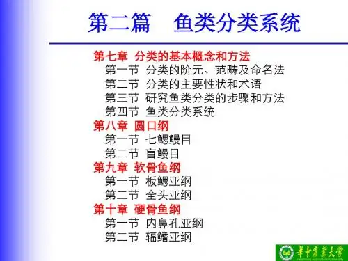 7-1分类的基本概念和方法