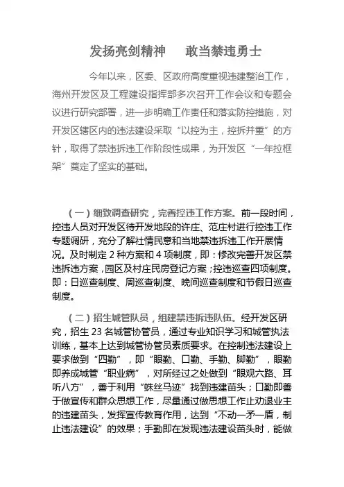禁违拆违工作总结