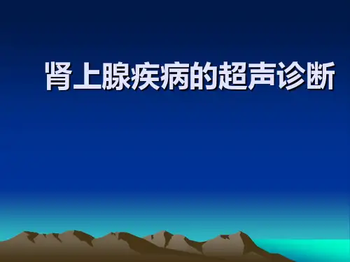 超声医学课件:肾上腺疾病的超声诊断