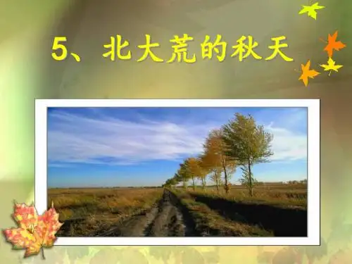 5、北大荒的秋天