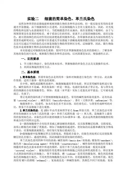 细菌的简单染色