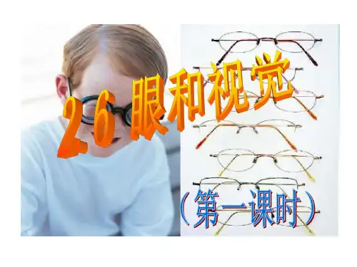 透镜与视觉总结87页PPT