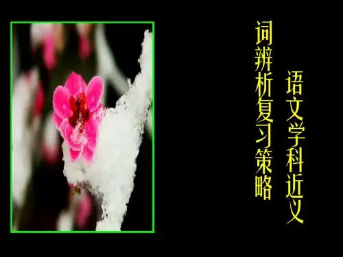 01 近义词辨析专题复习