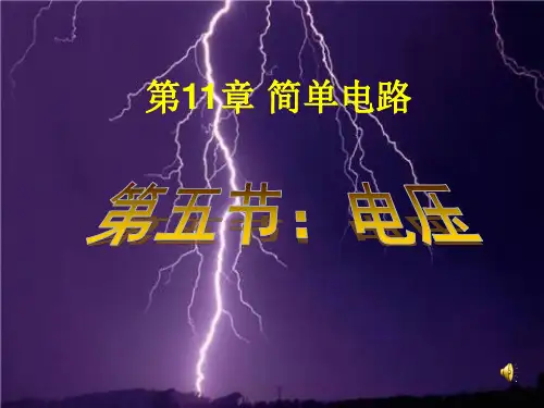 初中物理九年级《电压课件》