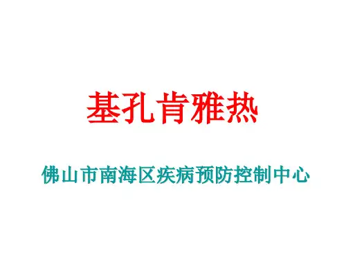基孔肯亚热