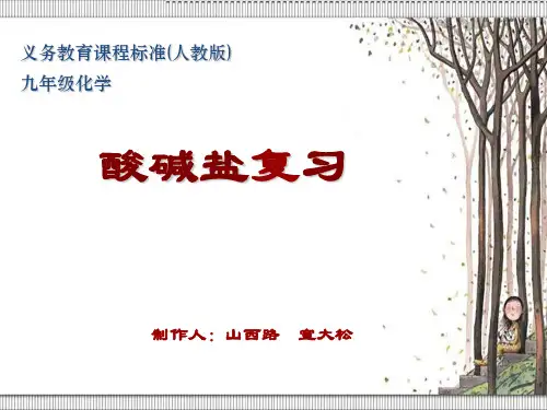酸碱盐的专题复习