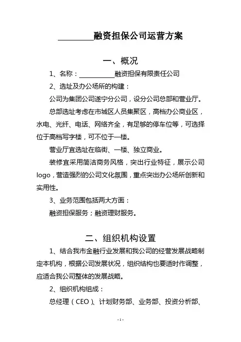 企业运营方案 2