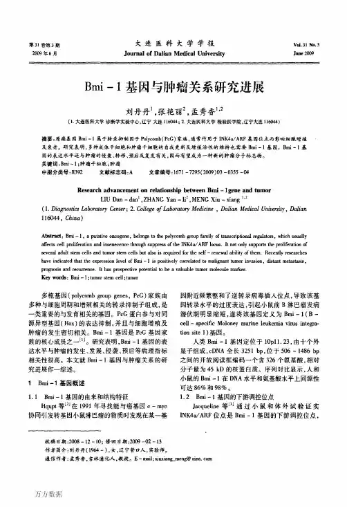 Bmi-1基因与肿瘤关系研究进展