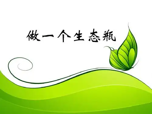 教科版五年级上册科学1.6做一个生态瓶