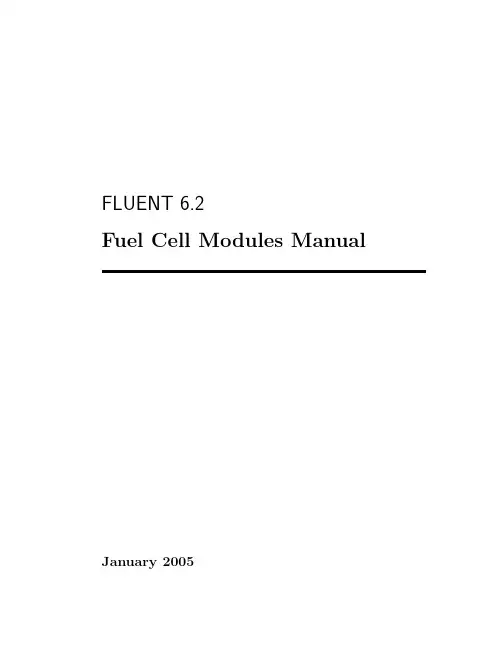 Fluent6.2燃料电池帮助手册