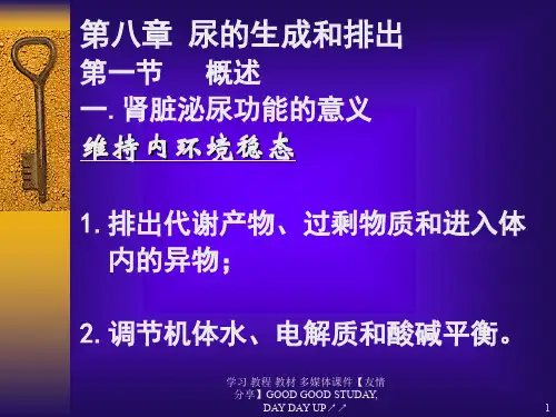尿生成和排出