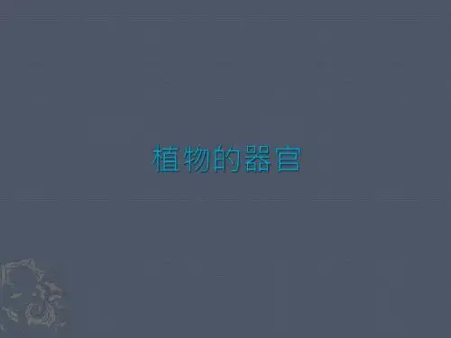 植物的器官