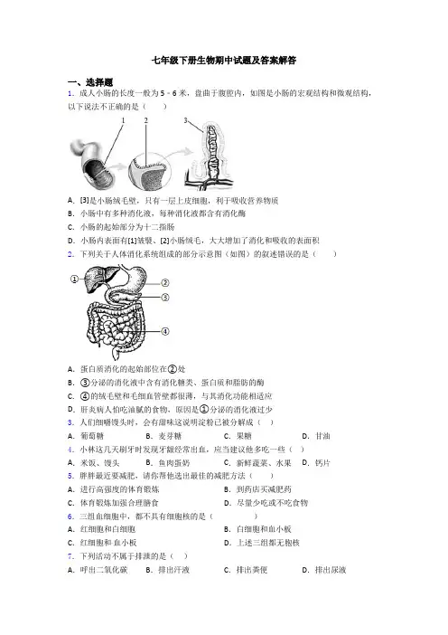 七年级下册生物期中试题及答案解答
