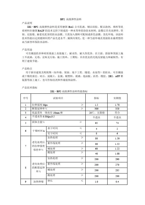 BPS 高级弹性涂料