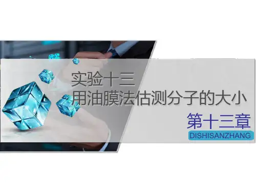 高中物理-实验十三用油膜法估测分子的大小