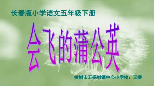 会飞的蒲公英