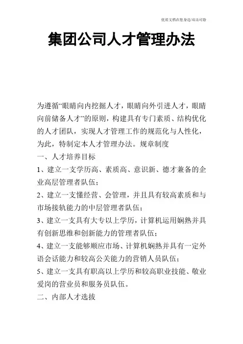 集团公司人才管理办法