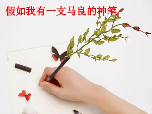 假如我有一支马良的神笔课件